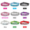 Image of Free Name Personalized Pet Dog Collar with Rhinestone and Customized Diamond - A Doggo Lover