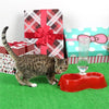 Image of High Quality Dual Port Dog Utensils Bowl Cat Drinking Fountain Food Dish Pet Automatic Water Dispenser Feeder - A Doggo Lover