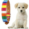 Image of Rainbow Color Pattern Adjustable Pet Dog Collar - A Doggo Lover