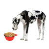 Image of Collapsible Dog Bowls for Large & Med Dogs, Dishwasher Safe BPA FREE Food Grade Silicone, Portable Foldable Travel Bowls for Journeys & Hikes - A Doggo Lover