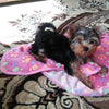 Image of Puppy Blanket Pet Cushion Small Dog Cat Bed Soft Warm Sleep Mat - A Doggo Lover