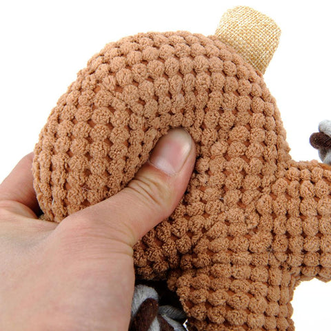 Squeak Plush Ring Toy for Dogs - A Doggo Lover