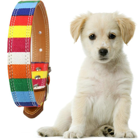 Rainbow Color Pattern Adjustable Pet Dog Collar - A Doggo Lover