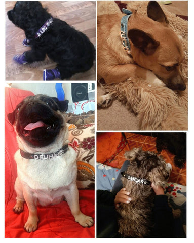 Free Name Personalized Pet Dog Collar with Rhinestone and Customized  Diamond - A Doggo Lover