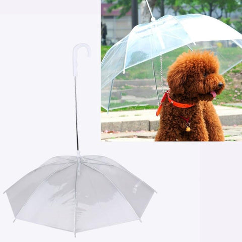 Waterproof Pet Umbrella Dog Transparent Umbrella Raincoat With Leash - A Doggo Lover